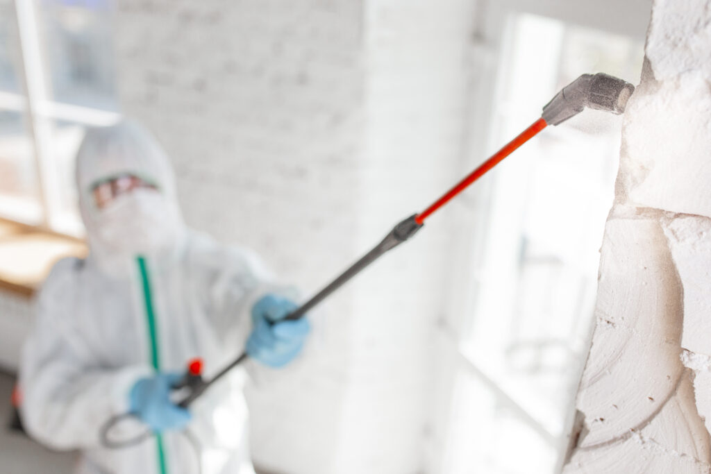 Termite Control Carlsbad CA