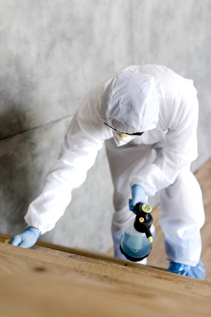 Termite Control Poway CA