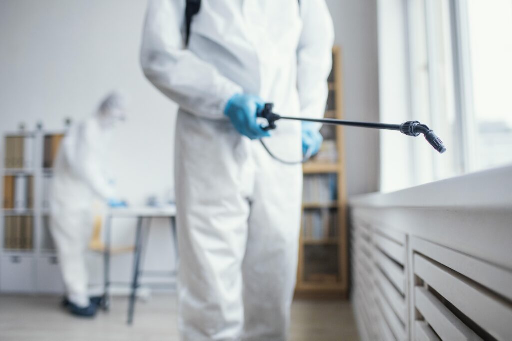 Termite Control San Marcos CA